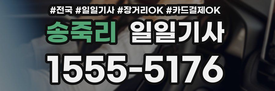 송죽리 일일기사