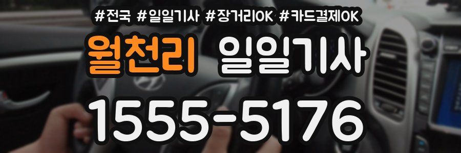 월천리 일일기사