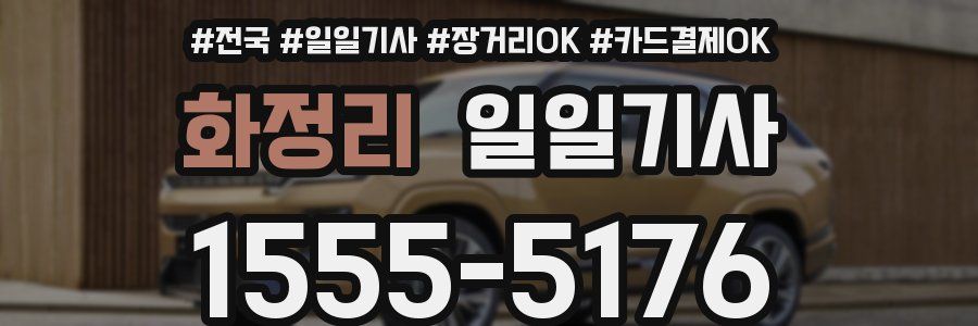 화정리 일일기사