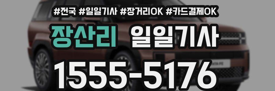 장산리 일일기사