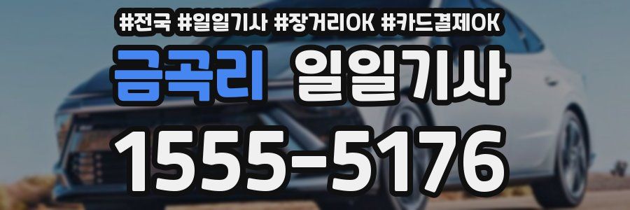 금곡리 일일기사