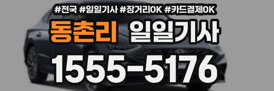 동촌리 일일기사