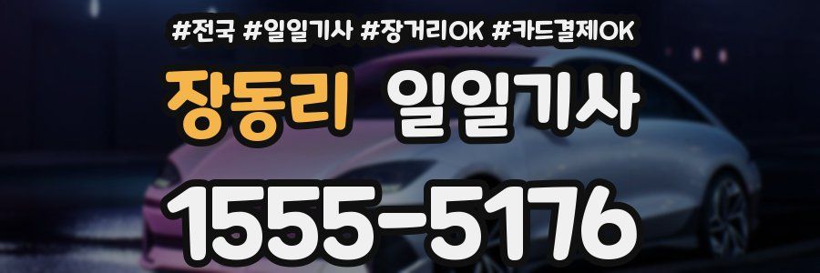 장동리 일일기사