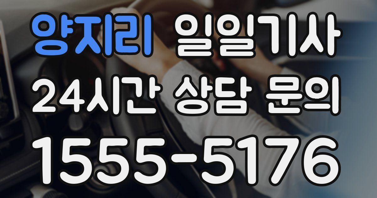 일일대리기사