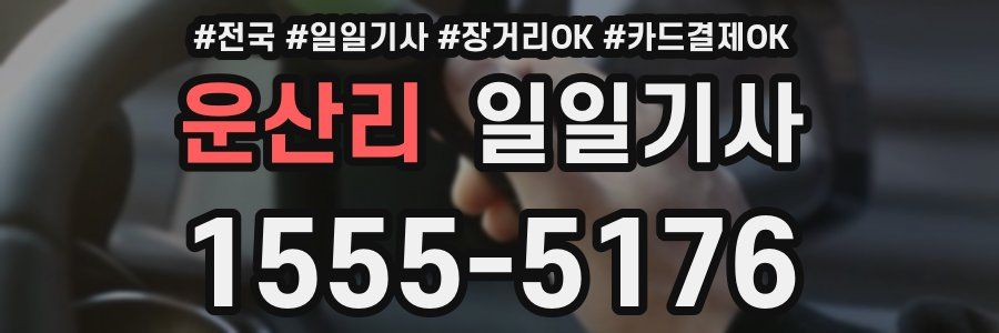 운산리 일일기사