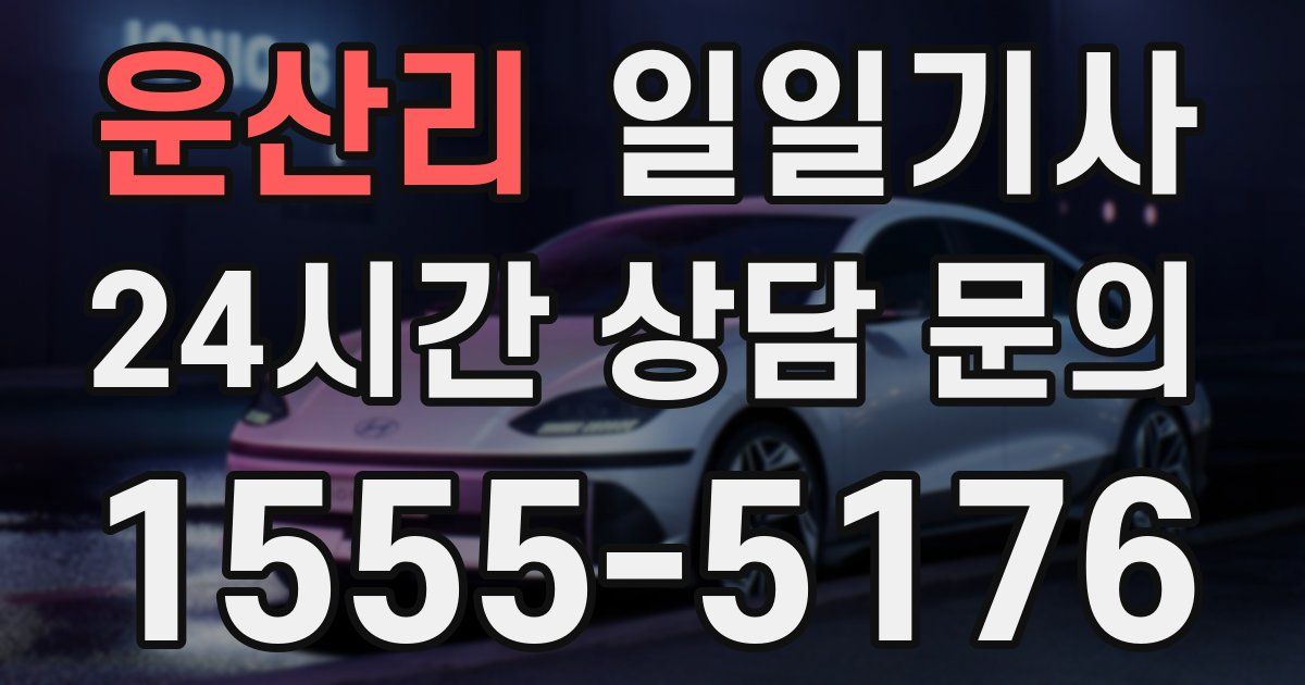 일일대리기사