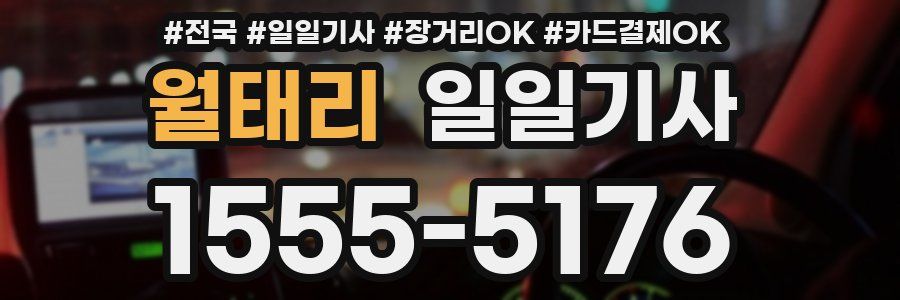 월태리 일일기사