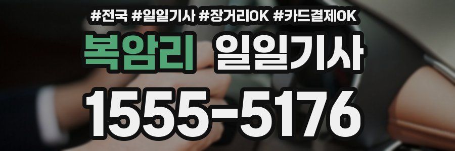 복암리 일일기사