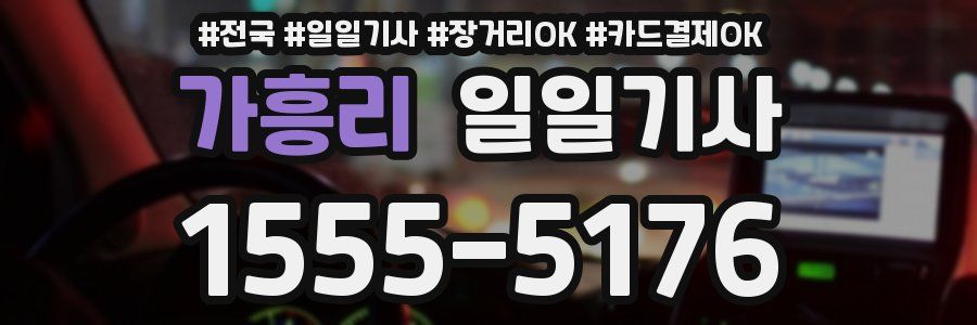 가흥리 일일기사