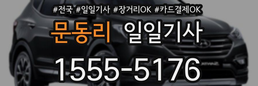 문동리 일일기사