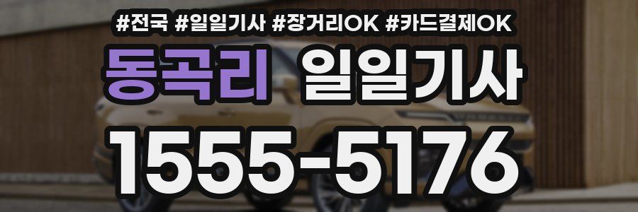 동곡리 일일기사