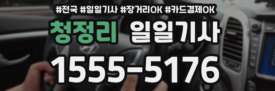 청정리 일일기사