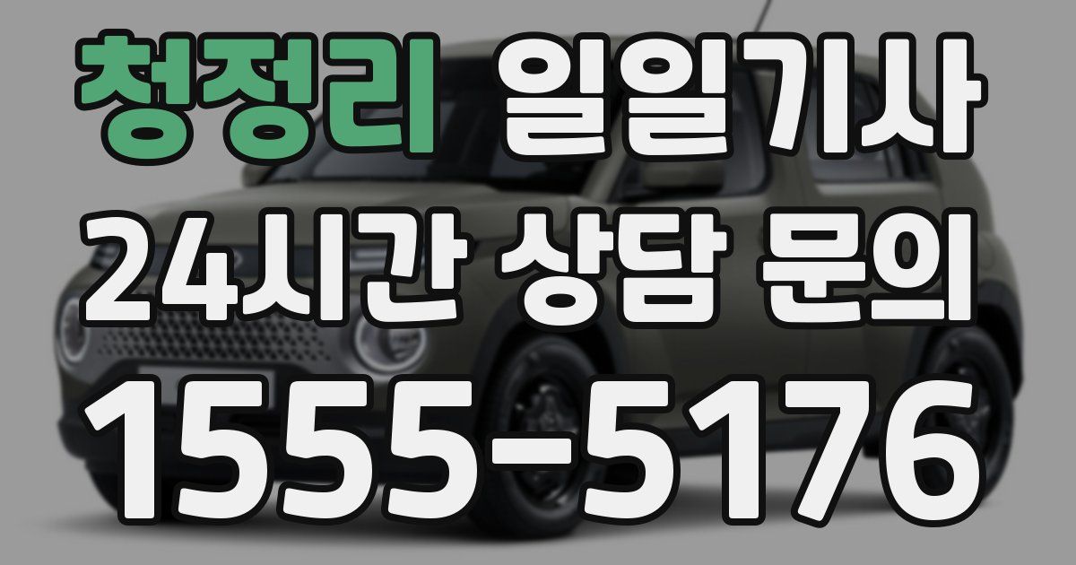 일일대리기사