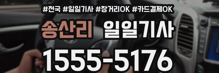 송산리 일일기사