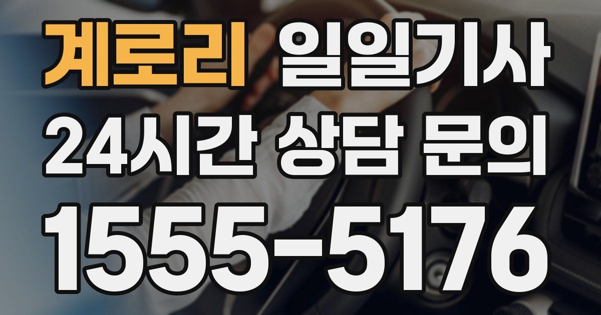 일일대리기사