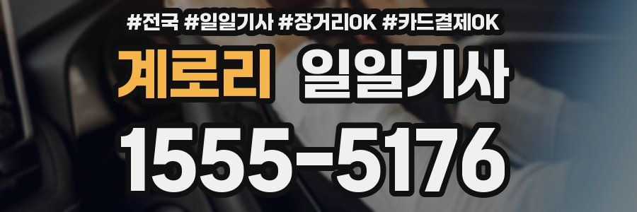 계로리 일일기사