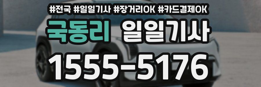 국동리 일일기사