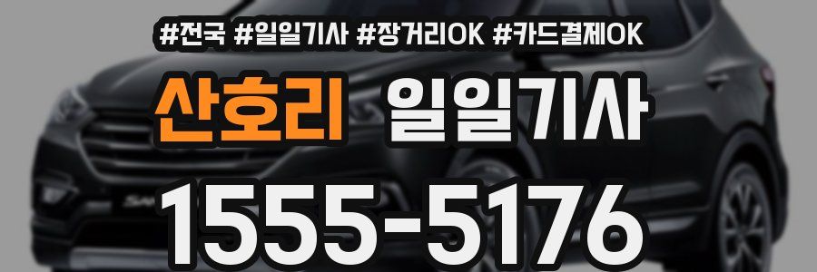 산호리 일일기사