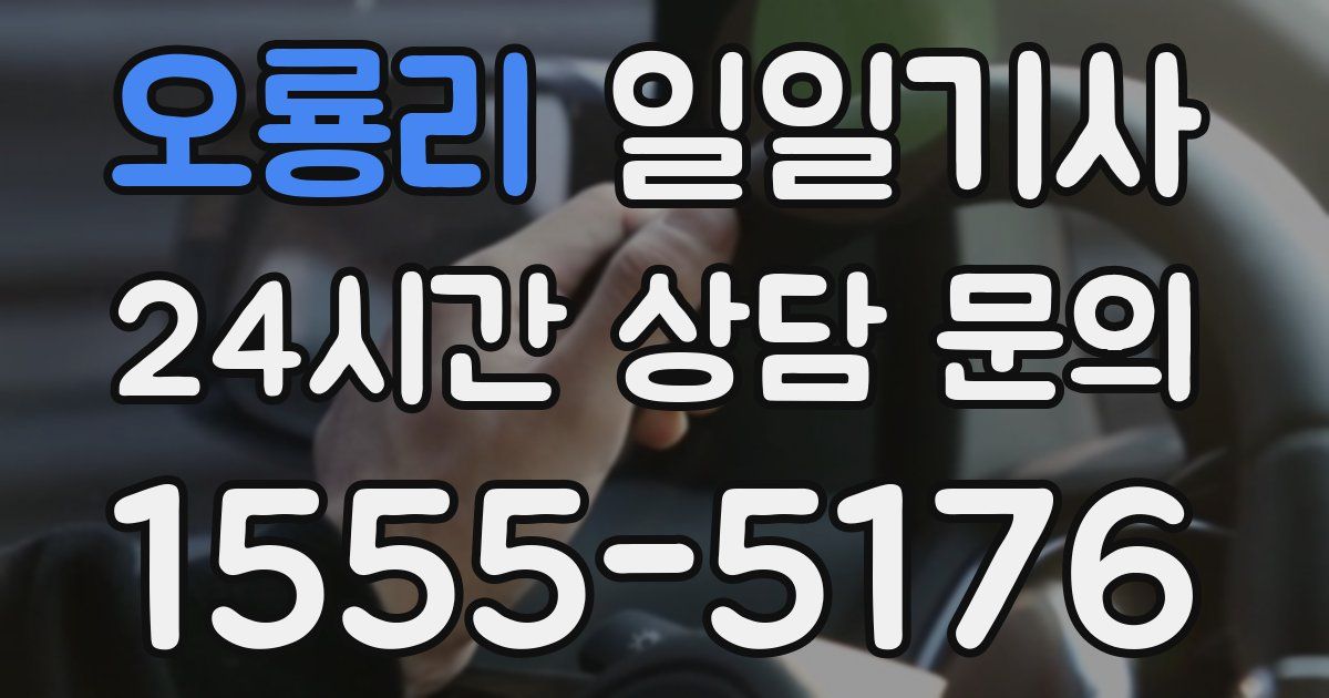 일일대리기사