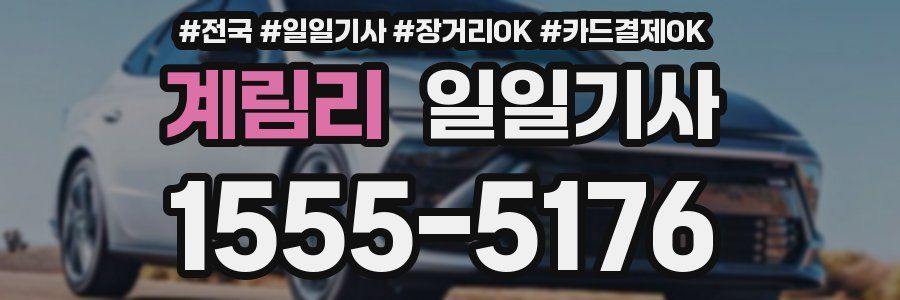 계림리 일일기사