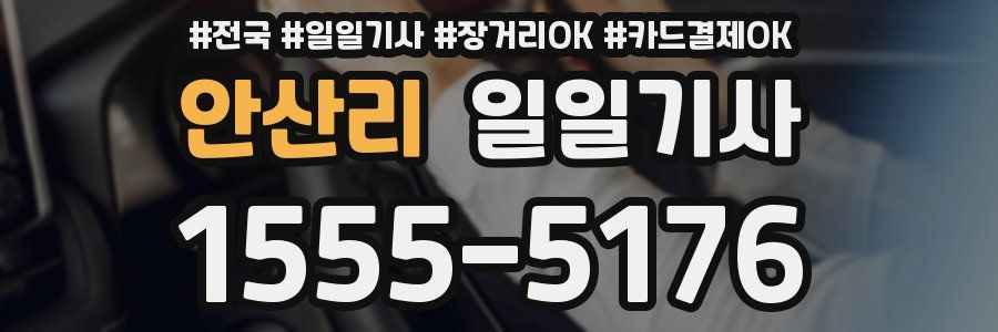 안산리 일일기사