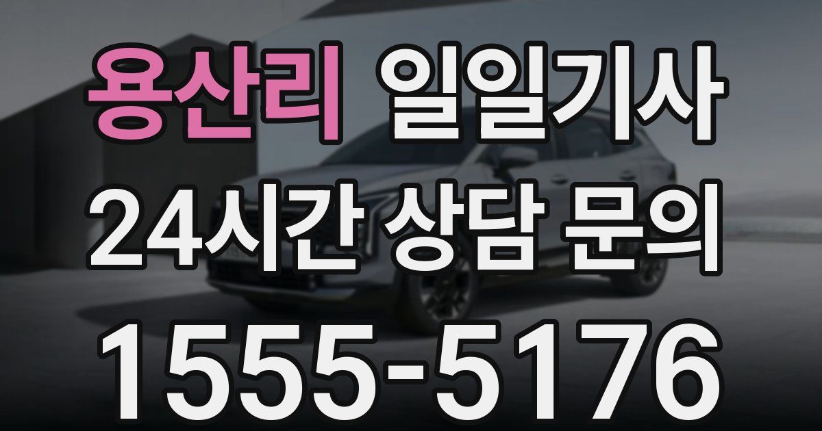 일일대리기사