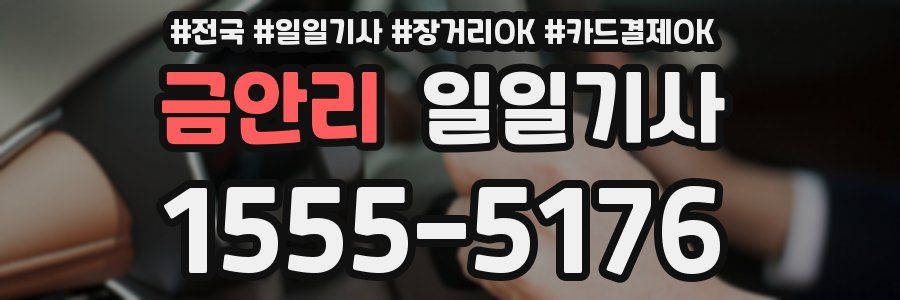 금안리 일일기사