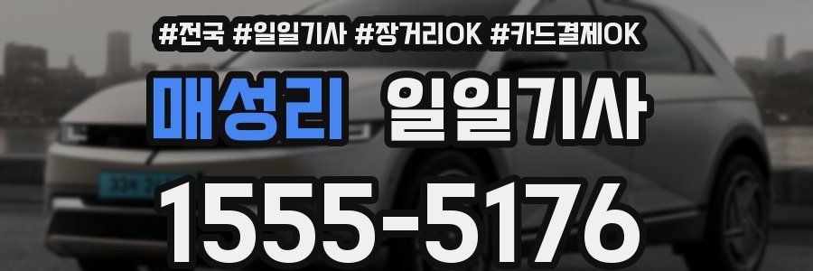 매성리 일일기사