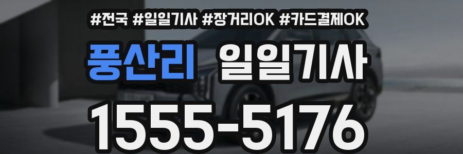 풍산리 일일기사