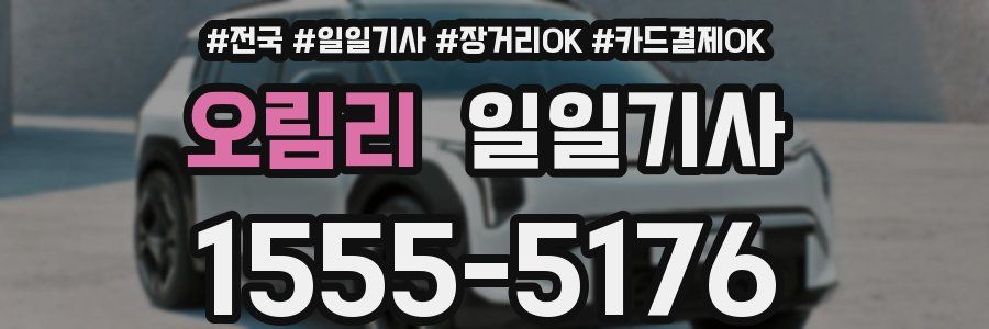 오림리 일일기사