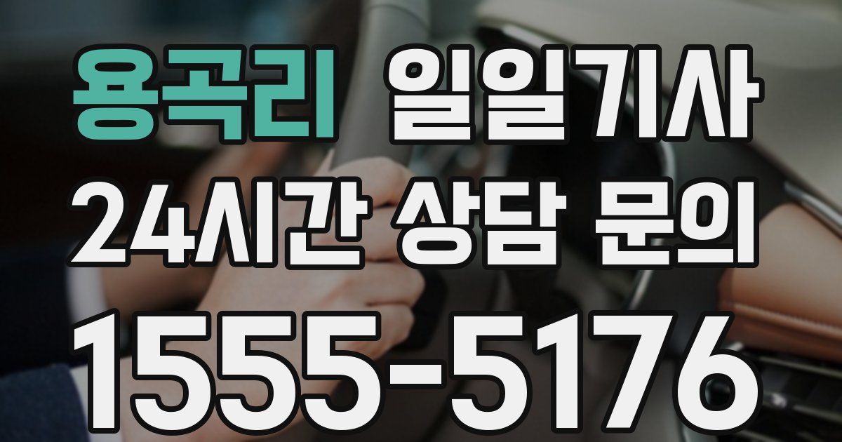 일일대리기사