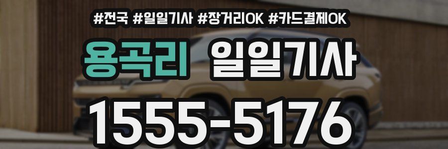 용곡리 일일기사