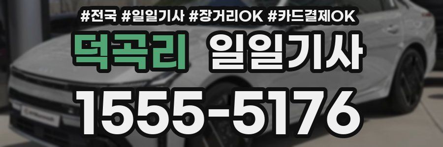 덕곡리 일일기사