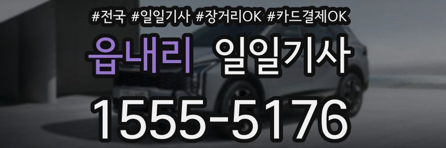 읍내리 일일기사