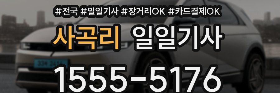 사곡리 일일기사