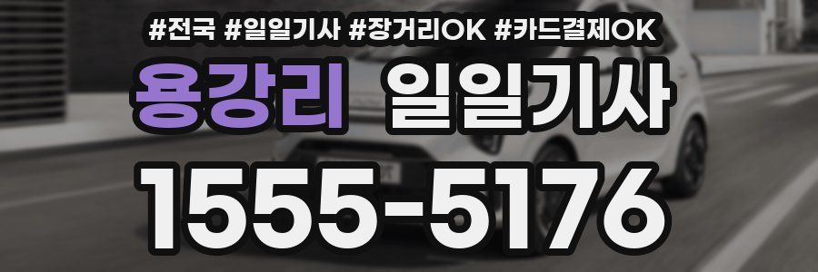 용강리 일일기사
