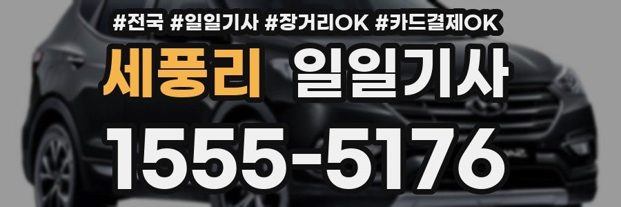 세풍리 일일기사