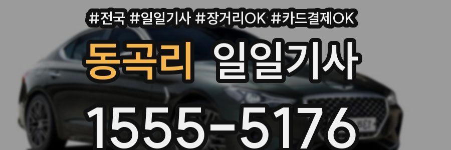 동곡리 일일기사