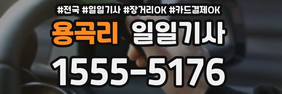 용곡리 일일기사