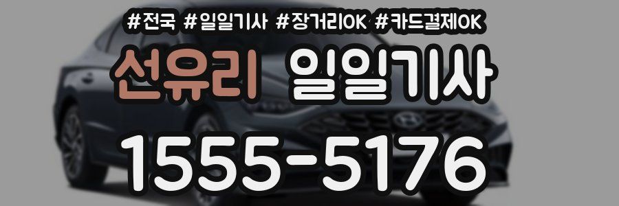 선유리 일일기사