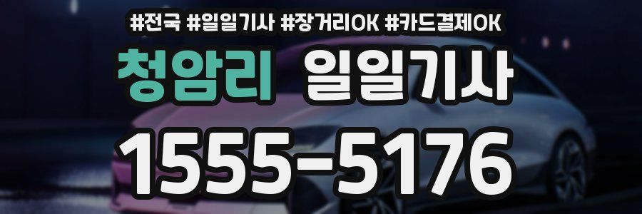 청암리 일일기사