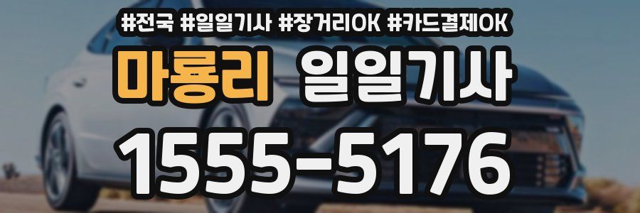 마룡리 일일기사