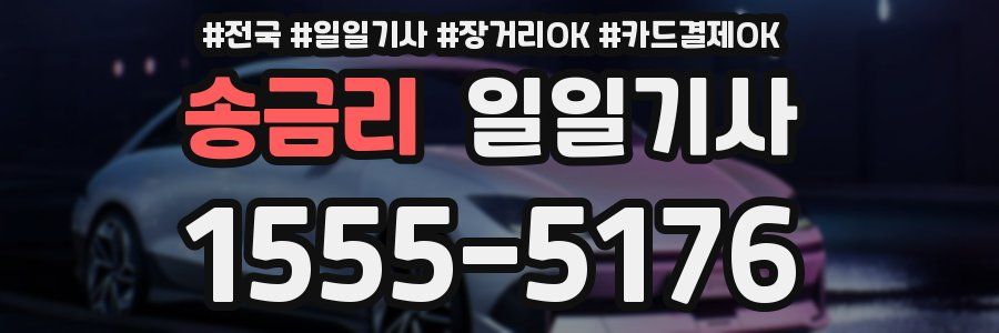 송금리 일일기사