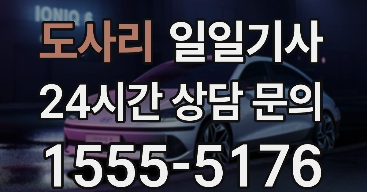 일일대리기사