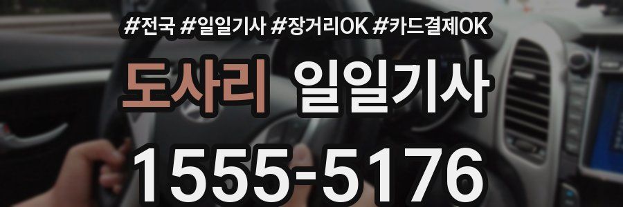 도사리 일일기사