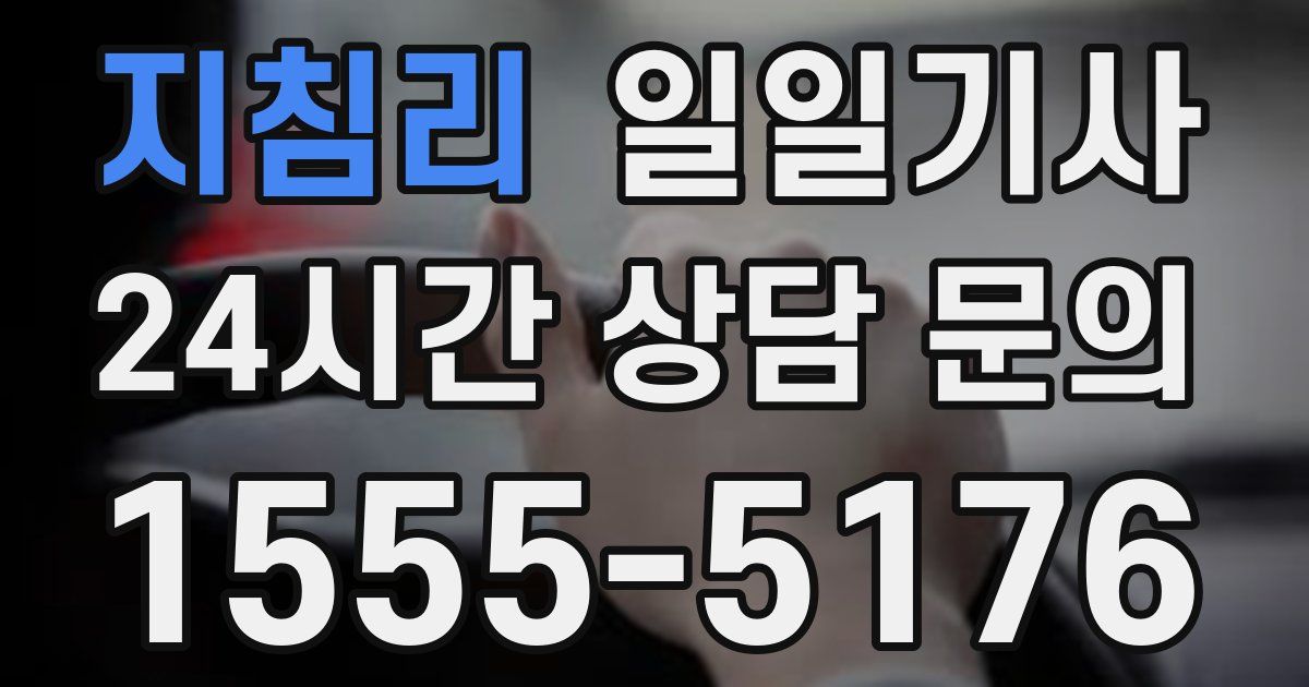 일일대리기사
