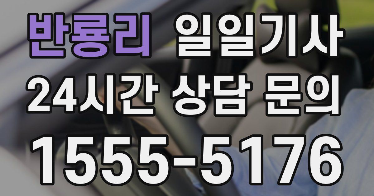 일일대리기사