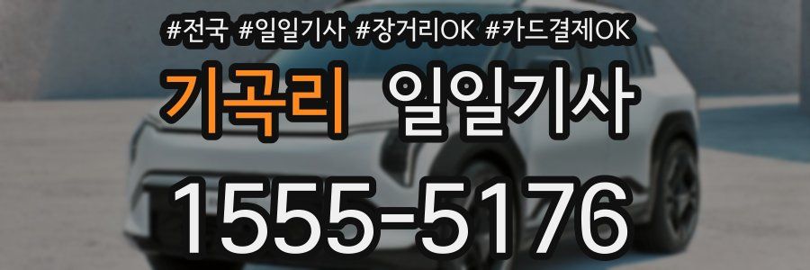 기곡리 일일기사
