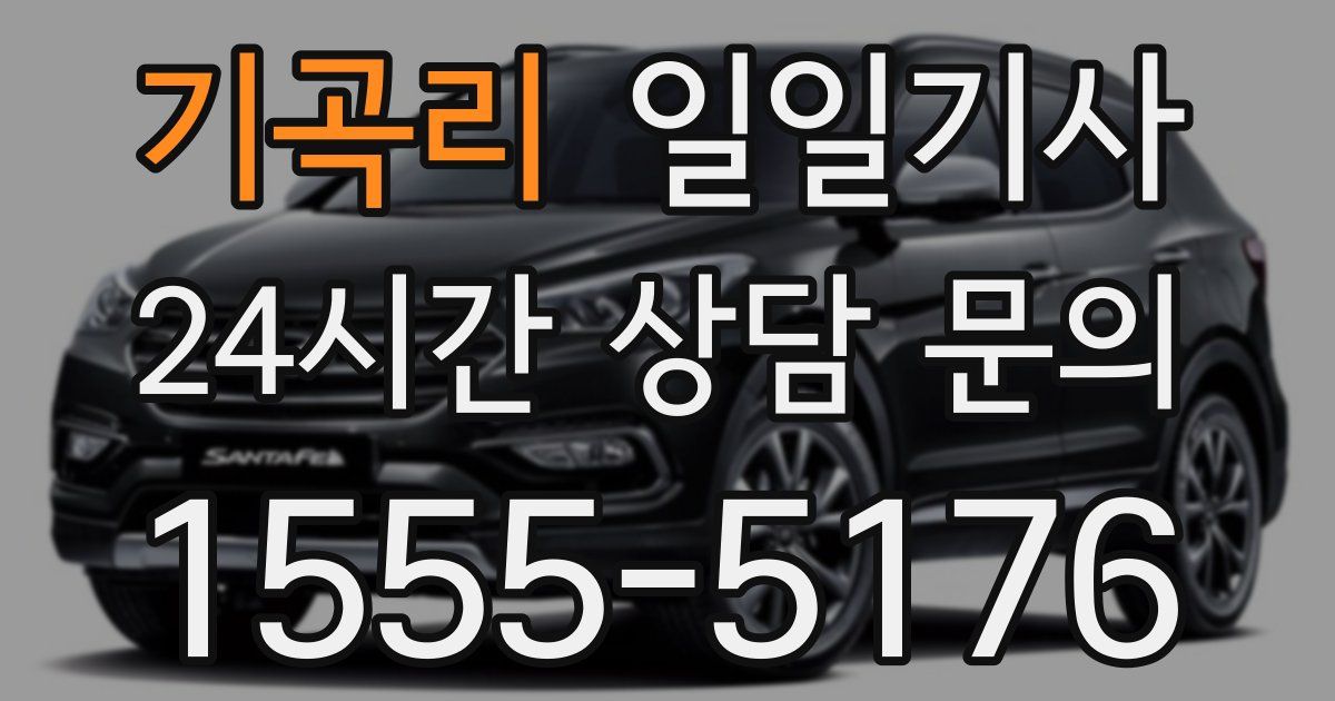 일일대리기사