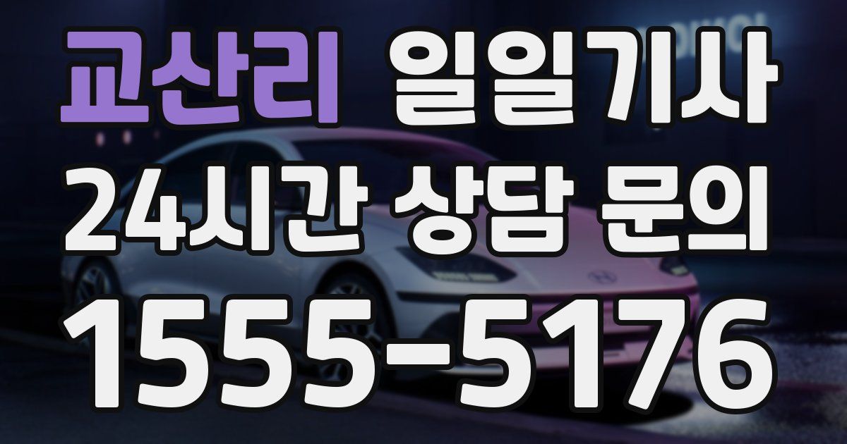 일일대리기사